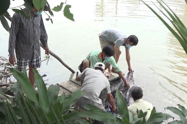 Thi the nguoi ban ve so noi tren kenh hinh anh