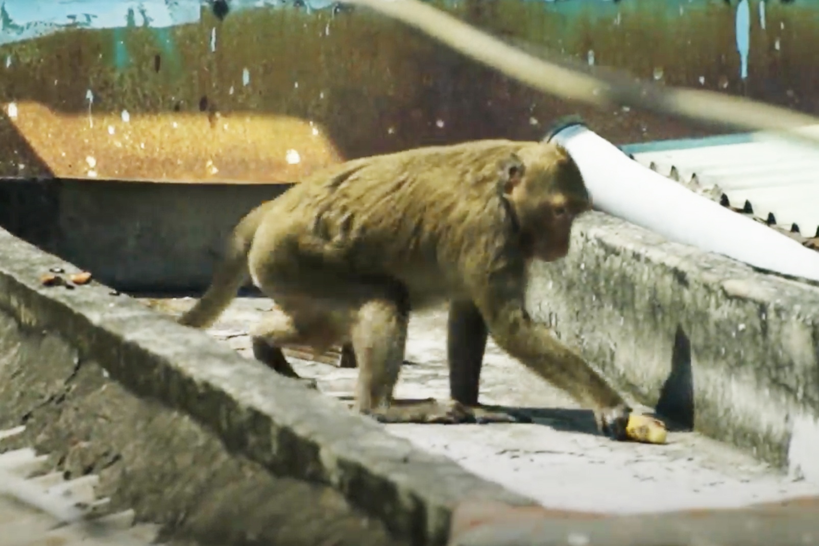 dan khi quay pha nha dan anh 2