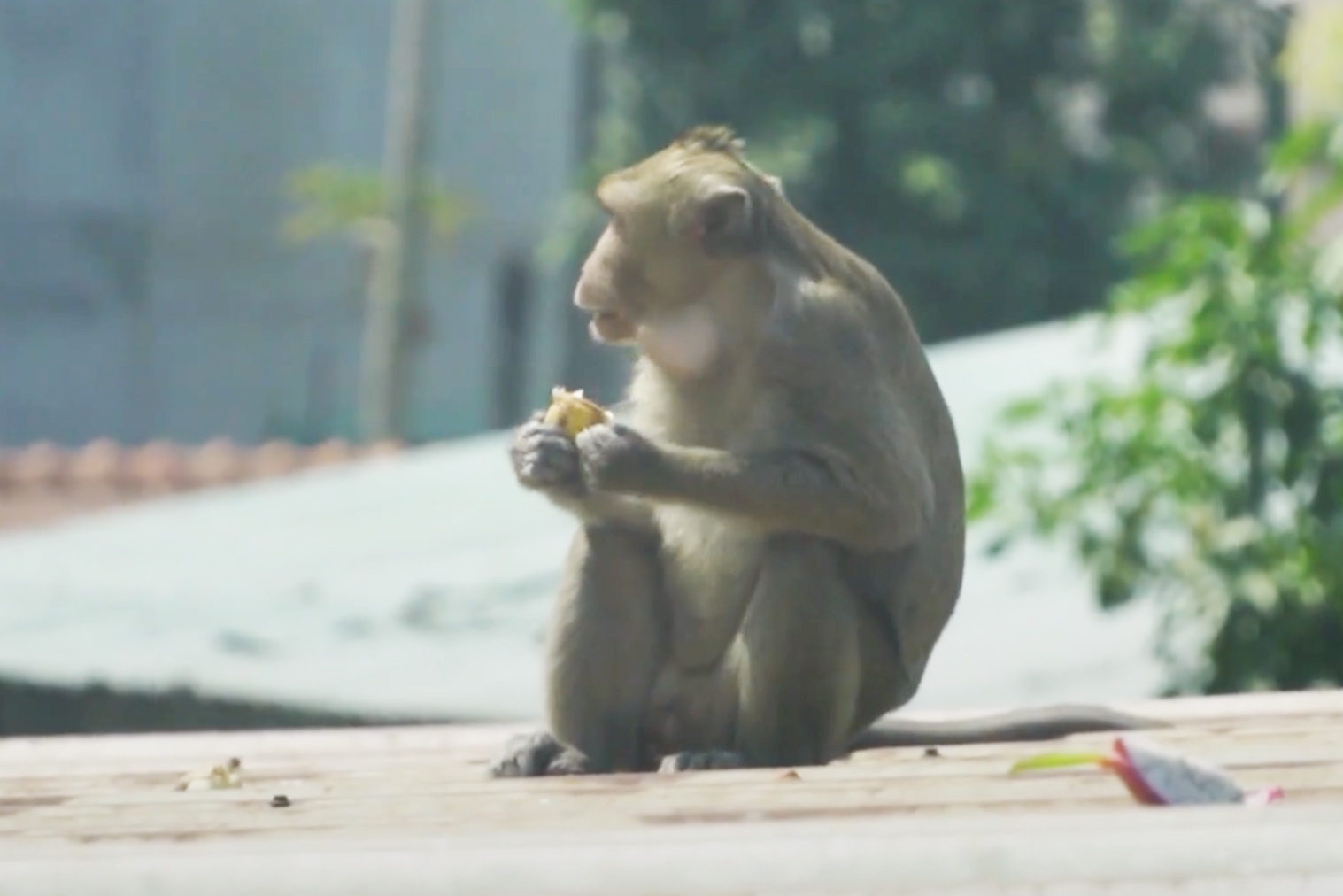dan khi quay pha nha dan anh 1