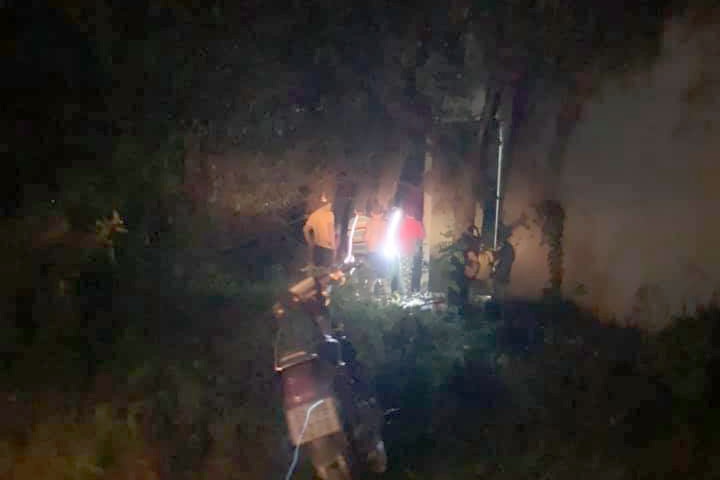 hon chien trong dem anh 1