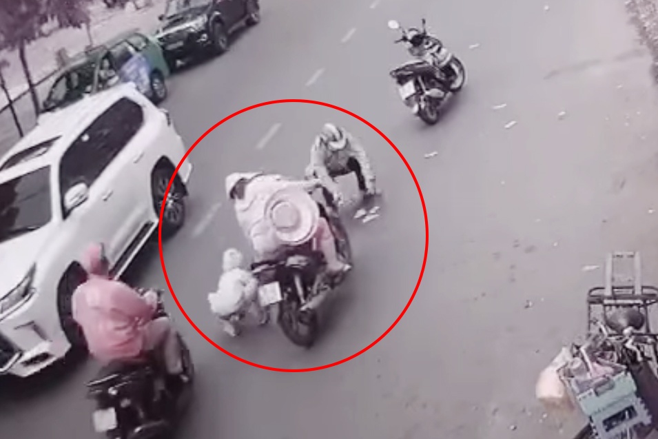Co gai danh roi coc tien, nguoi di duong tranh nhau lay 30 trieu hinh anh