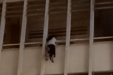 Nha truong len tieng vu nu sinh du lan can tang 3 o TP.HCM hinh anh