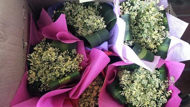 nong san hu hong anh 3