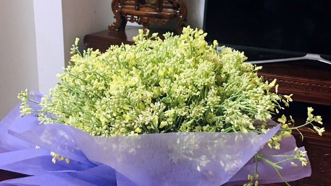 nong san hu hong anh 4