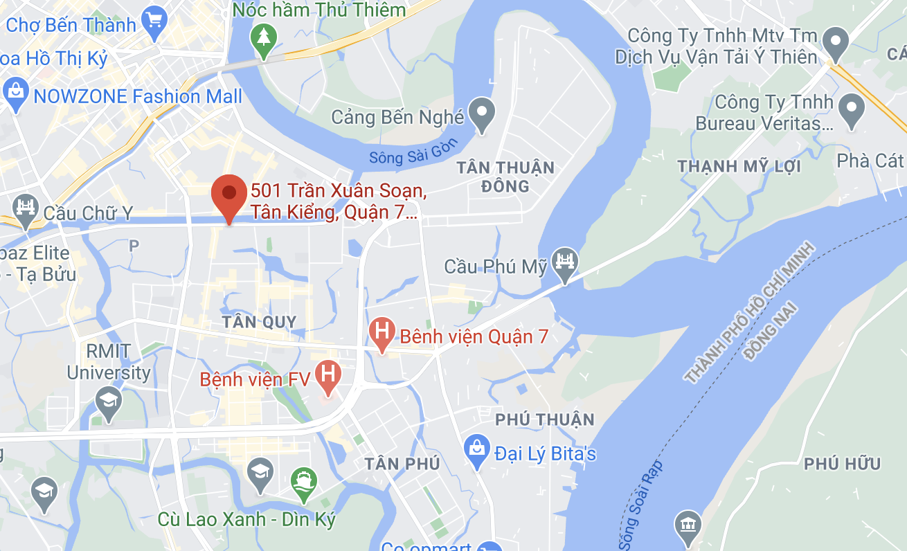 tai nan Tran Xuan Soan anh 2