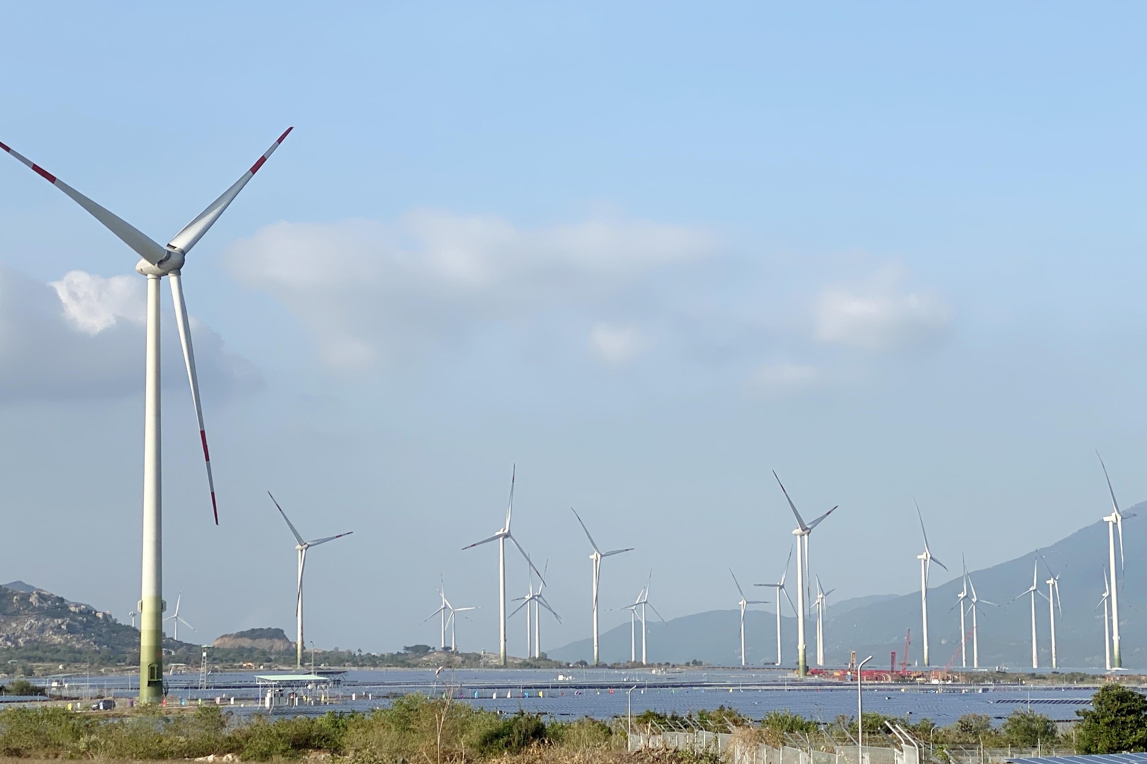 dien gio o Ninh Thuan anh 1