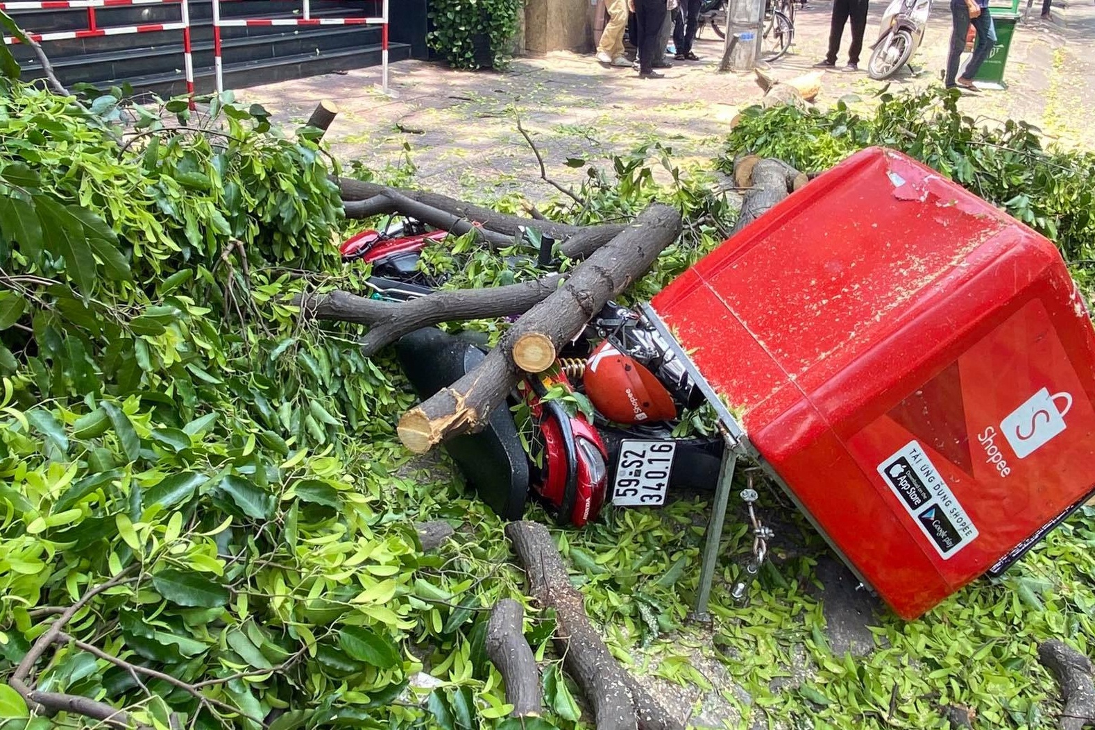 Canh cay tet nhanh, de xe may cua shipper o TP.HCM hinh anh