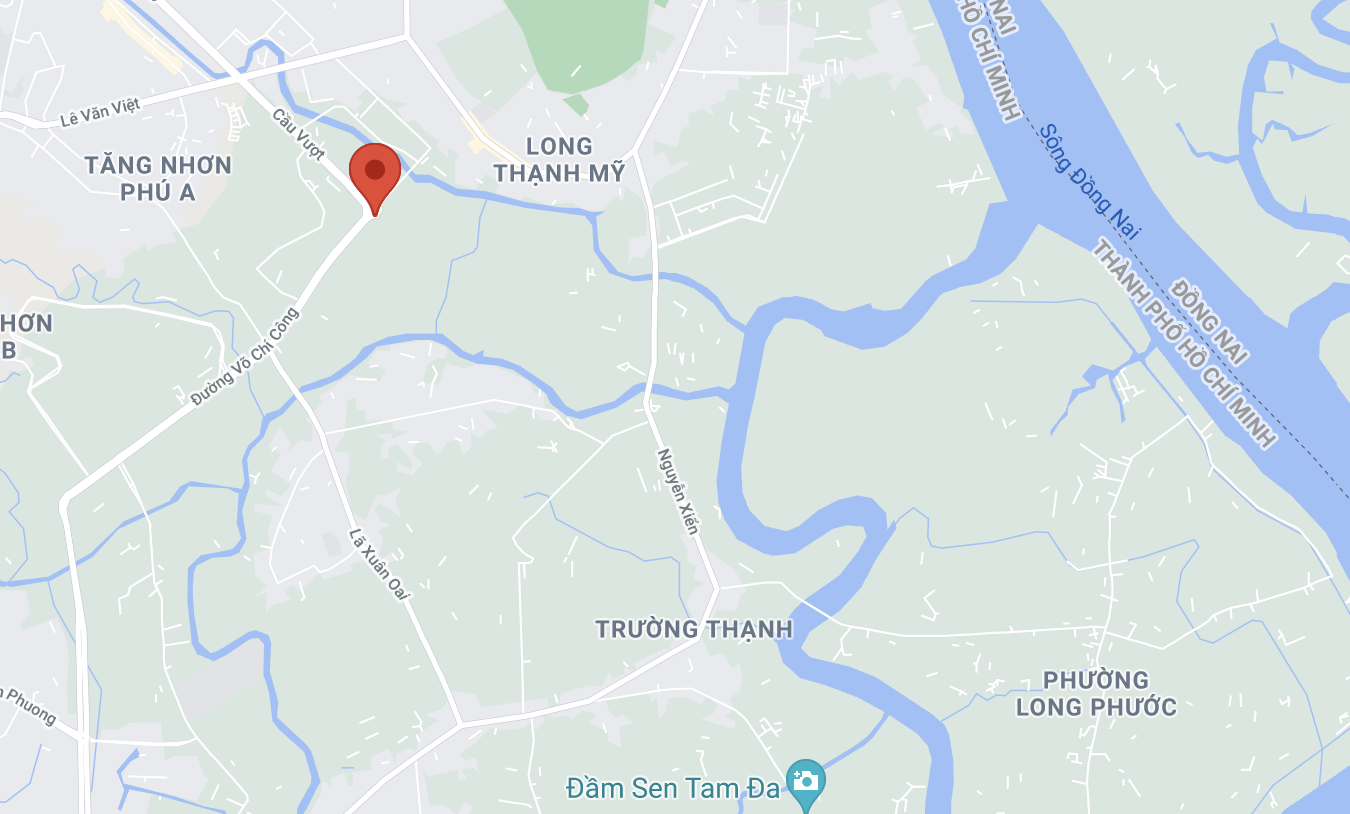 thung container roi xuong duong anh 2