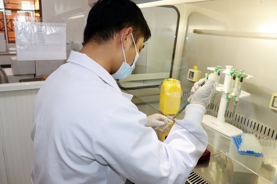 dich benh o Dong Nai anh 1