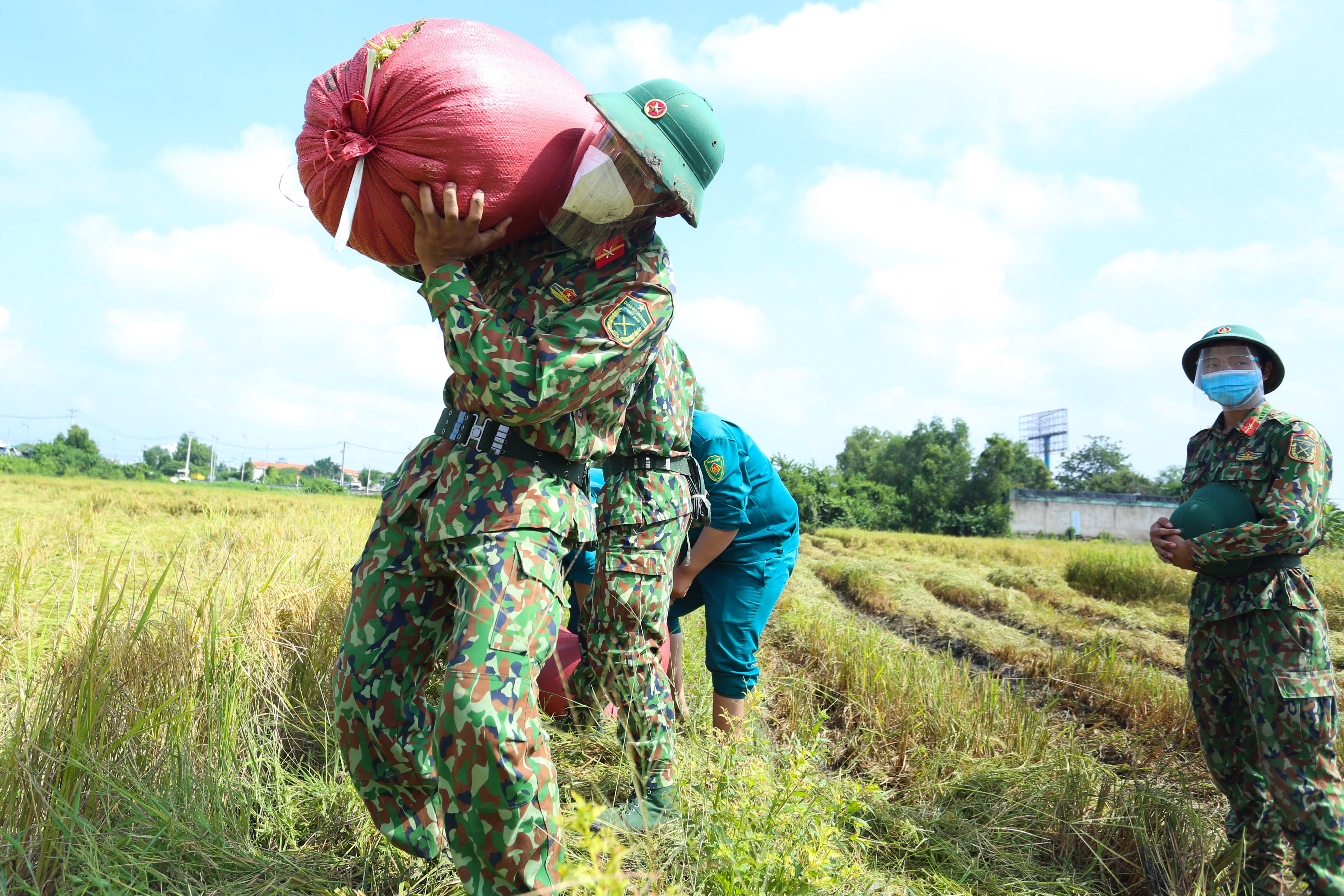 bo doi gat lua anh 8