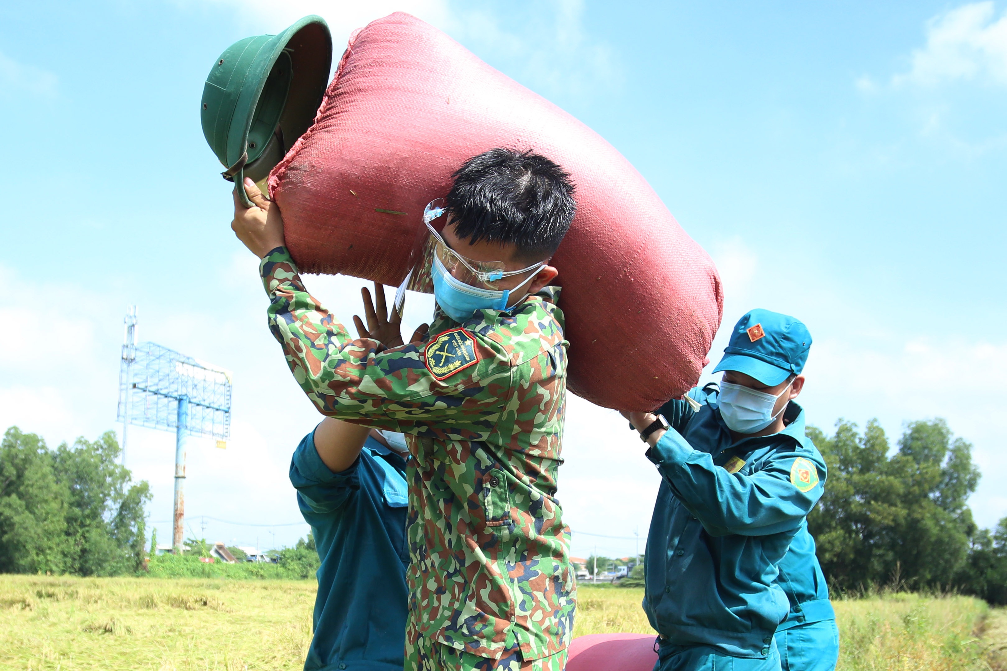 Nguoi dan TP.HCM: Cam on bo doi giup thu hoach lua hinh anh