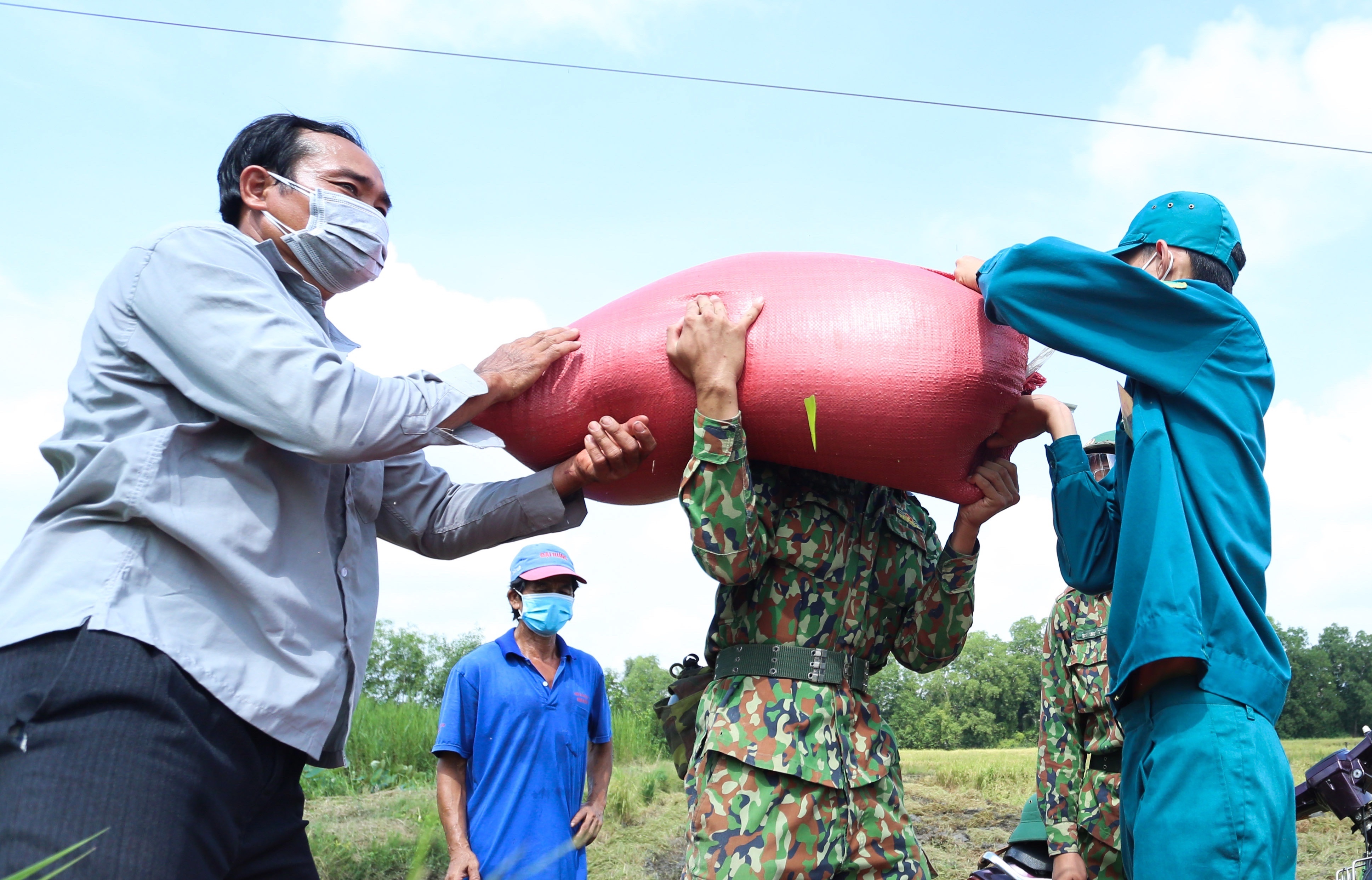 bo doi gat lua anh 7