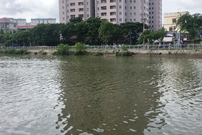 Cau Nguyen Tri Phuong anh 1