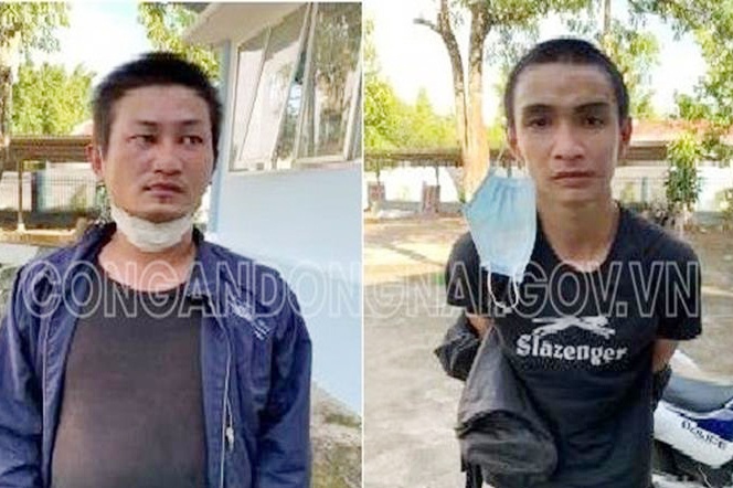 cướp giật tài sản ảnh 1 cuop giat tai san anh 1