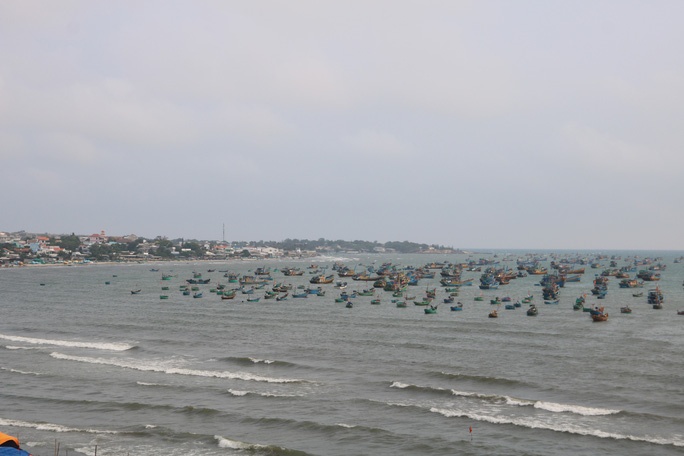 can thieu hai san anh 3