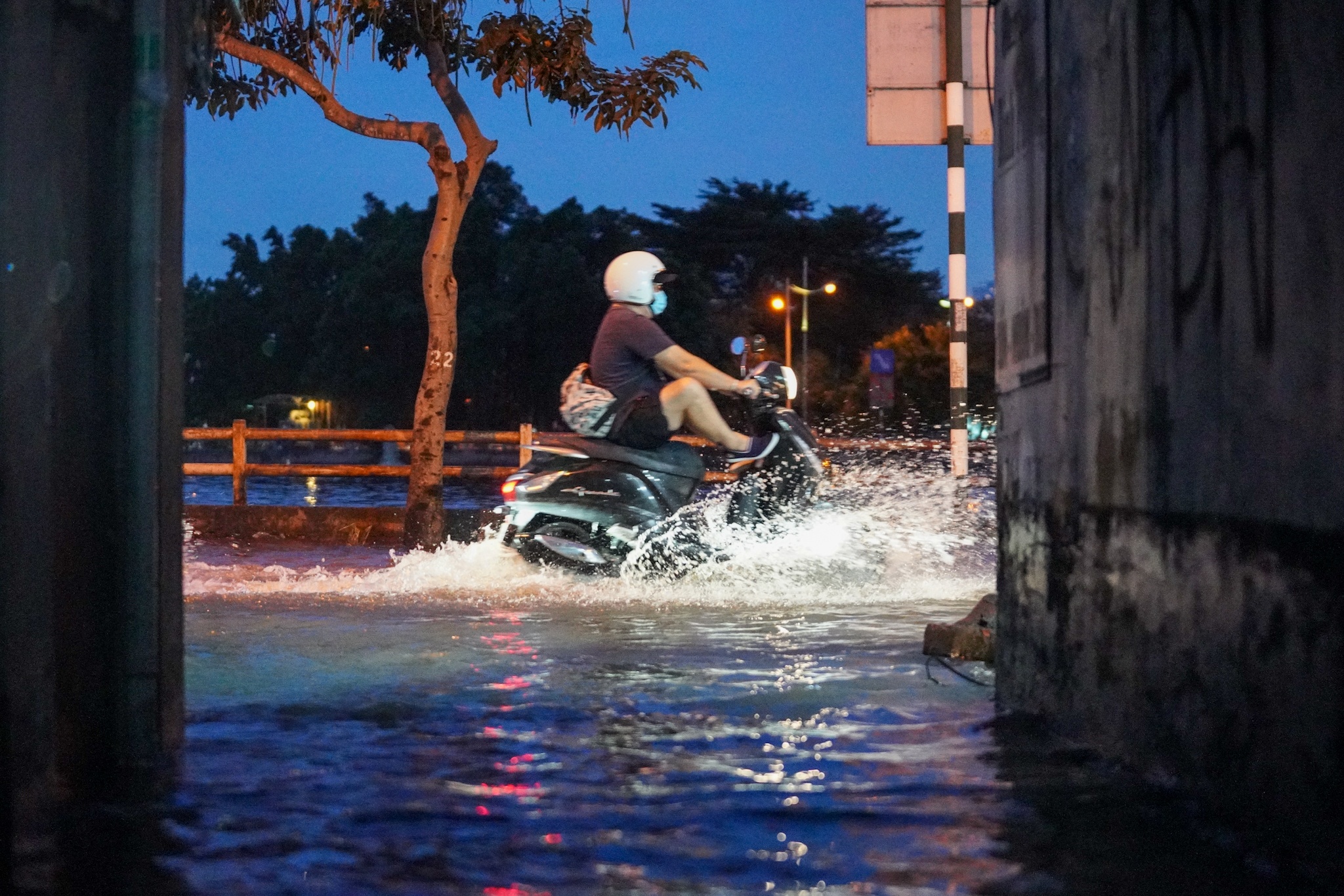 Trieu cuong o TP.HCM anh 8