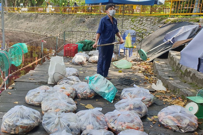 Ca chet hang loat trong cong vien o TP.HCM hinh anh