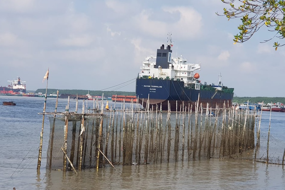 chim sa lan o Can Gio anh 1