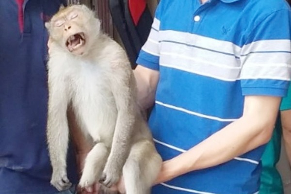 khi dai nao nha dan anh 1