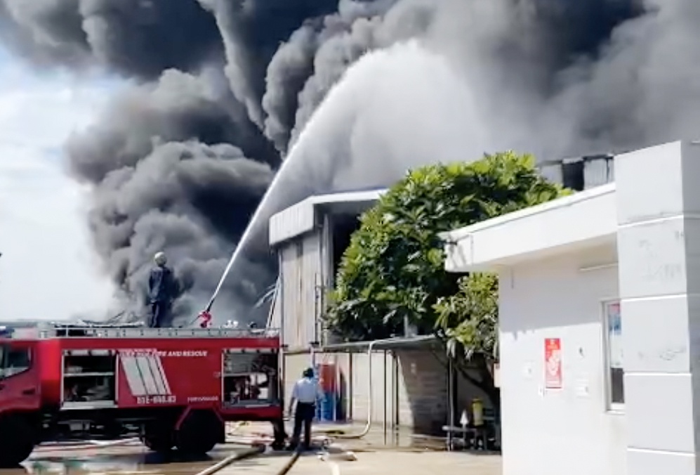 Hoa hoan thieu rui gan 3.000 m2 tai mot cong ty o TP.HCM hinh anh