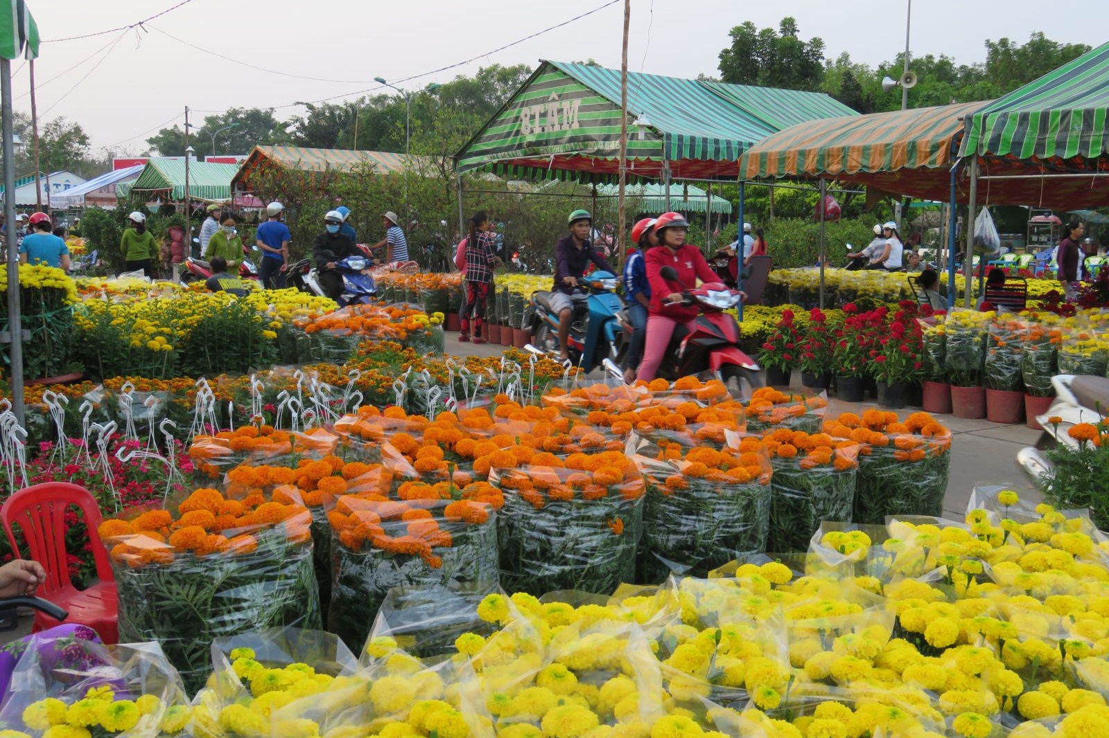 Long An dung to chuc le hoi Tet Nham Dan 2022 hinh anh