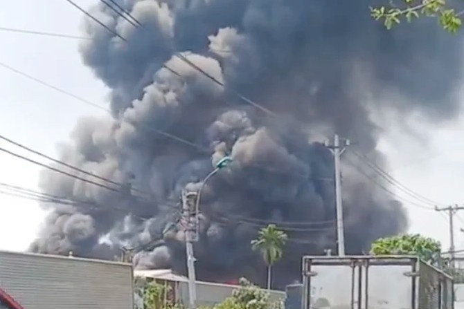 Hoa hoan thieu rui xuong nhua o TP.HCM hinh anh