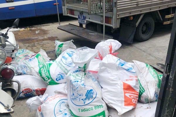 Van chuyen heo thoi anh 1