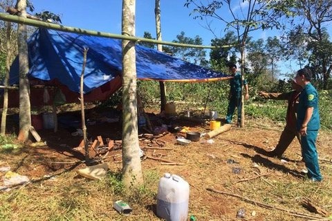 Nguoi phu nu bi set danh tu vong khi hai rau o TP.HCM hinh anh