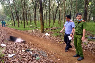 Thi the nguoi phu nu bi trum dau trong rung cao su o Dong Nai hinh anh