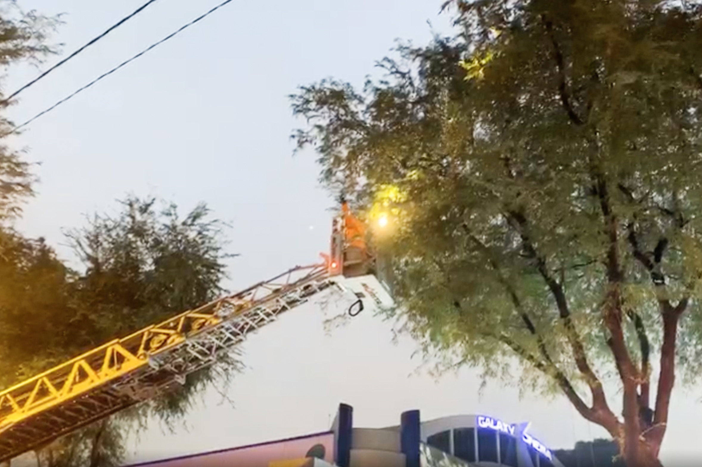 bat ong o TP.HCM anh 2