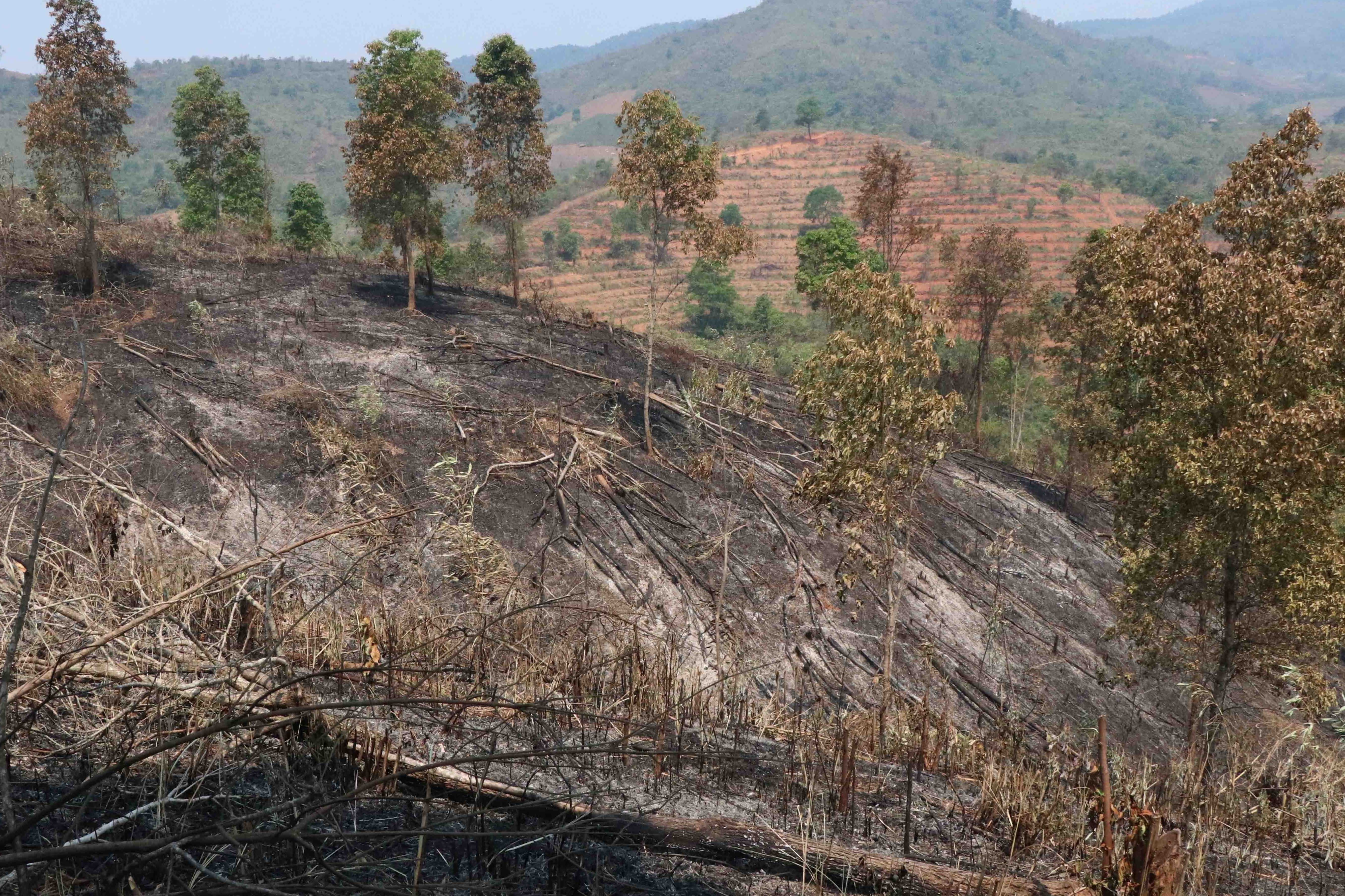 chay rung o Dien Bien anh 1