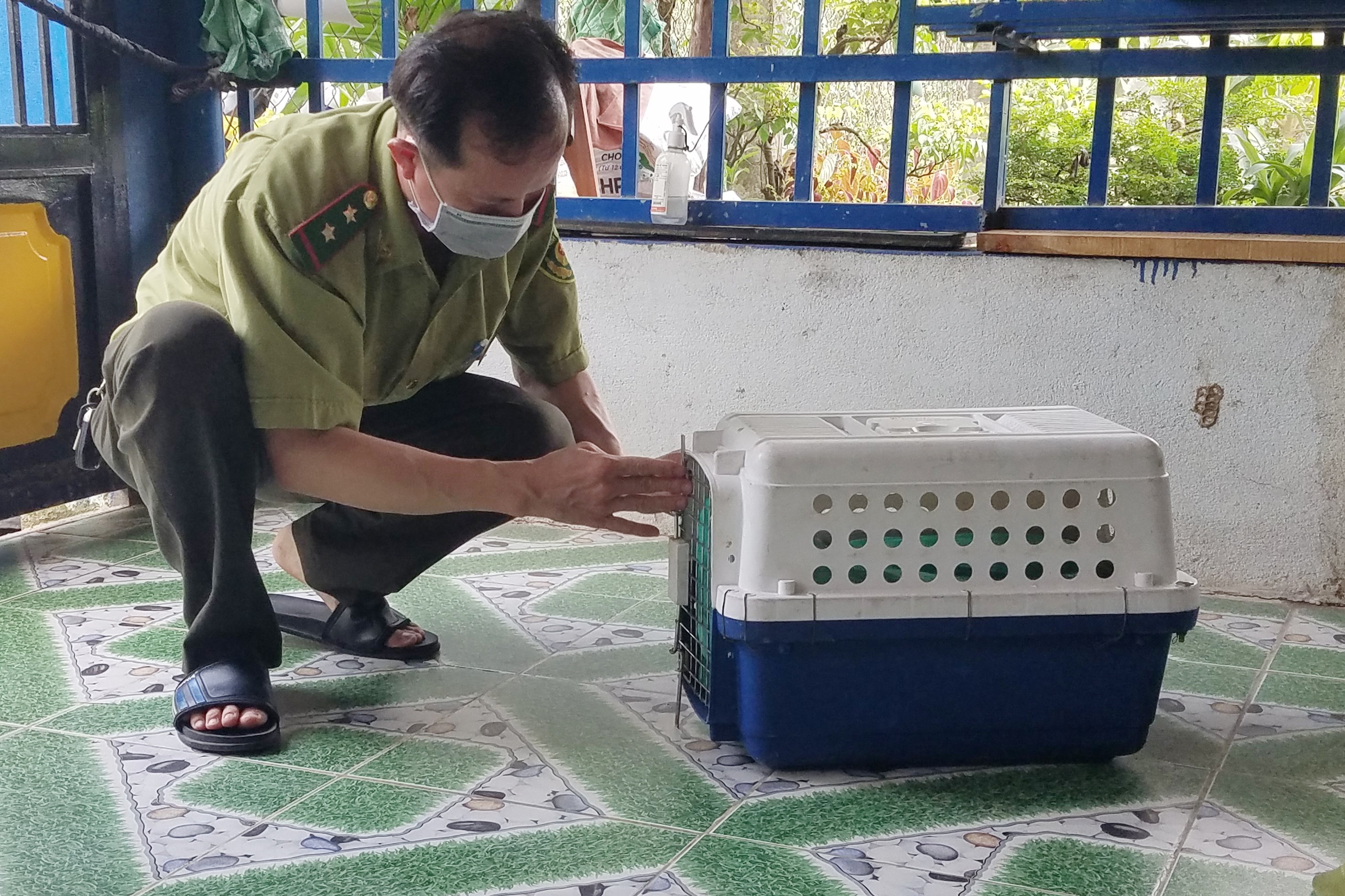 Nguoi dan TP.HCM ban giao khi duoi lon quy hiem cho kiem lam hinh anh