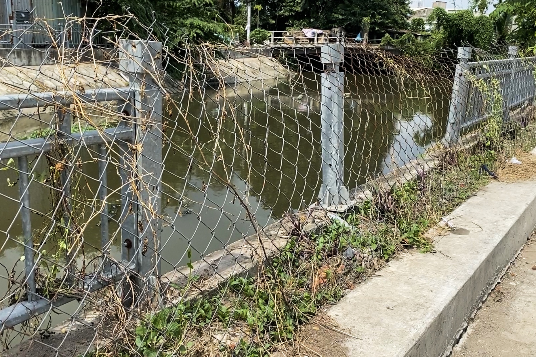 hai tre em duoi nuoc anh 2