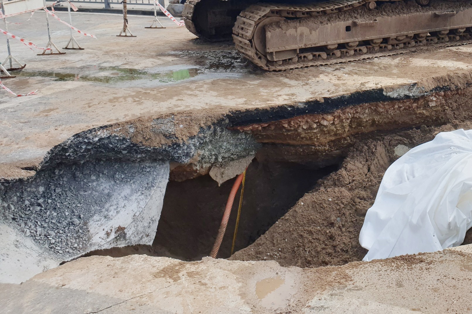 Hoan tat san lap 'ho tu than' sau 3 m o TP.HCM hinh anh