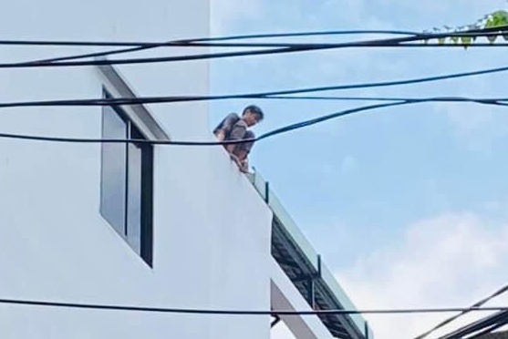 Ngao da o TP.HCM anh 1