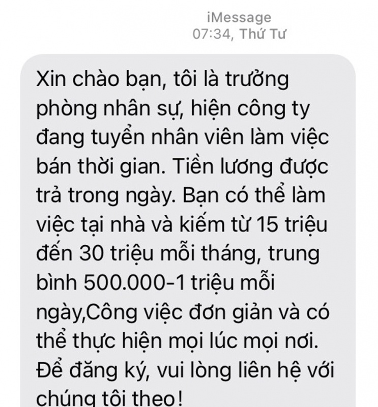 Nhieu nguoi dinh bay lua dao vi bi du 'lam ban thoi gian luong cao' hinh anh