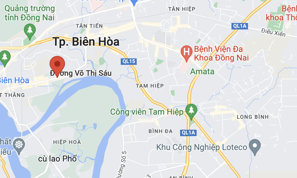 tai nan o Dong Nai anh 2