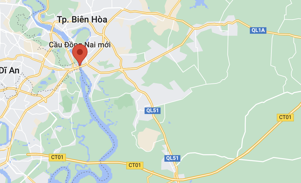 nhay cau Dong Nai anh 2