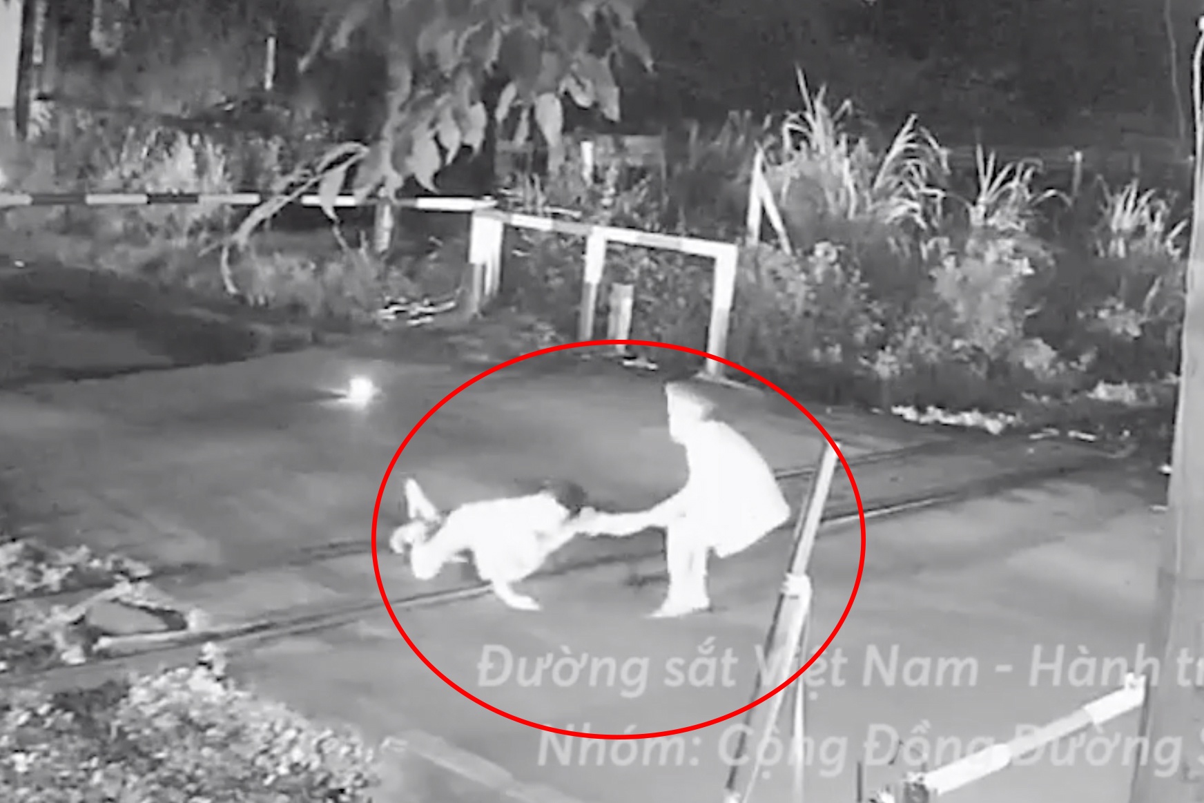 nhan vien duong sat cuu nguoi anh 1