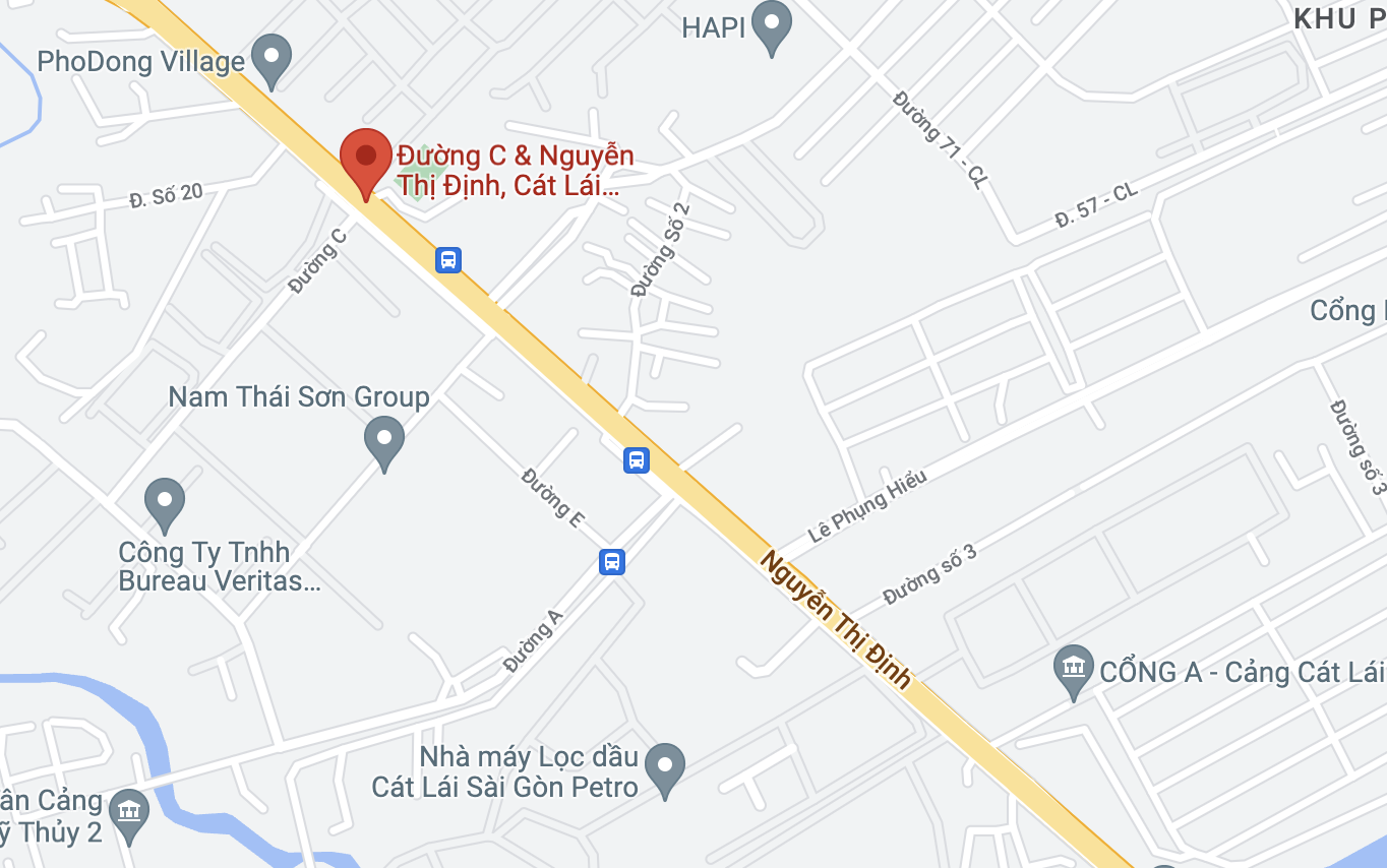 tai nan Nguyen Thi Dinh anh 2