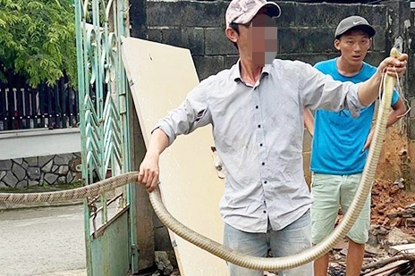 Bat ran ho mang chua, mot nguoi dan ong tu vong hinh anh