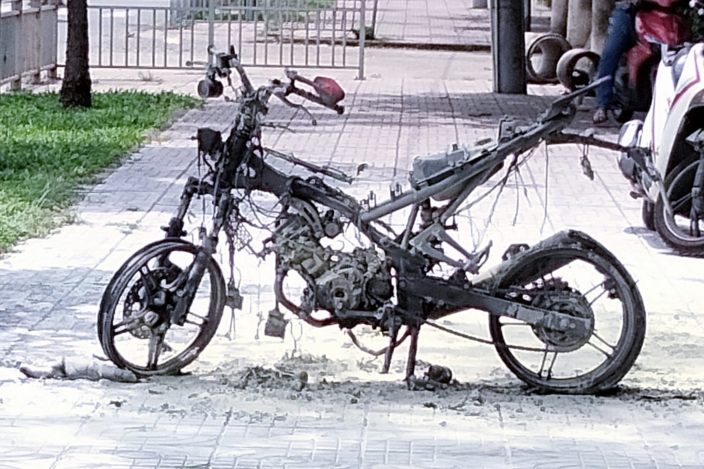 chay xe cong vien Phu Lam anh 1