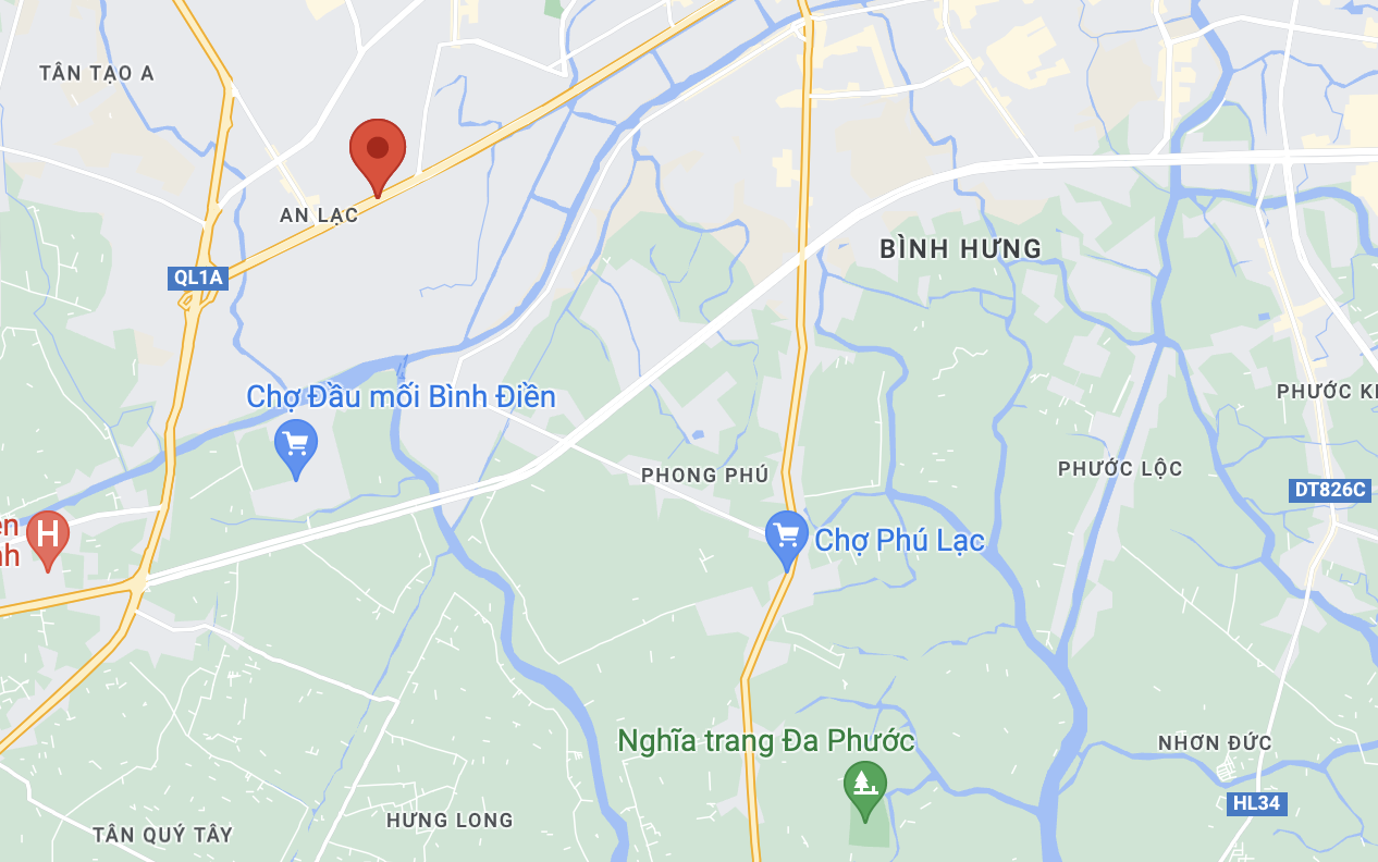 cay nga o TP.HCM anh 3