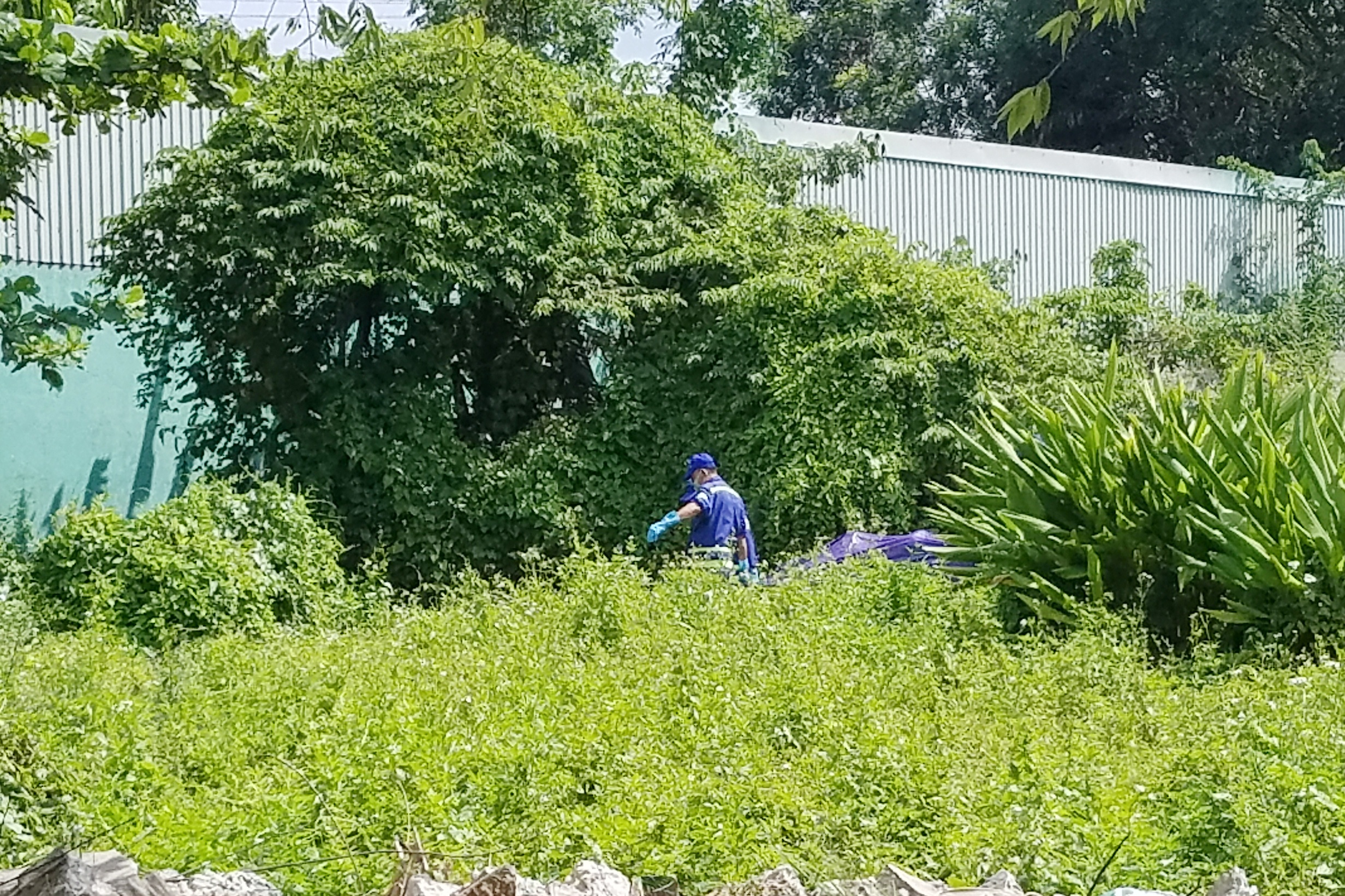 treo co trong khu cong nghiep anh 1