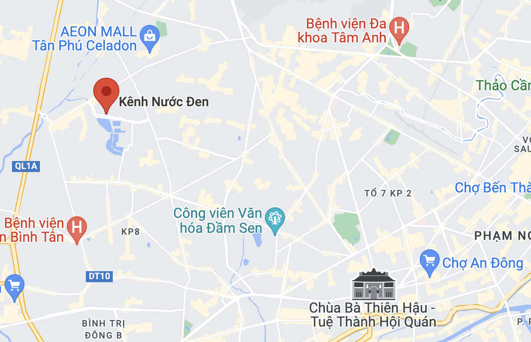 thi the phan huy anh 2