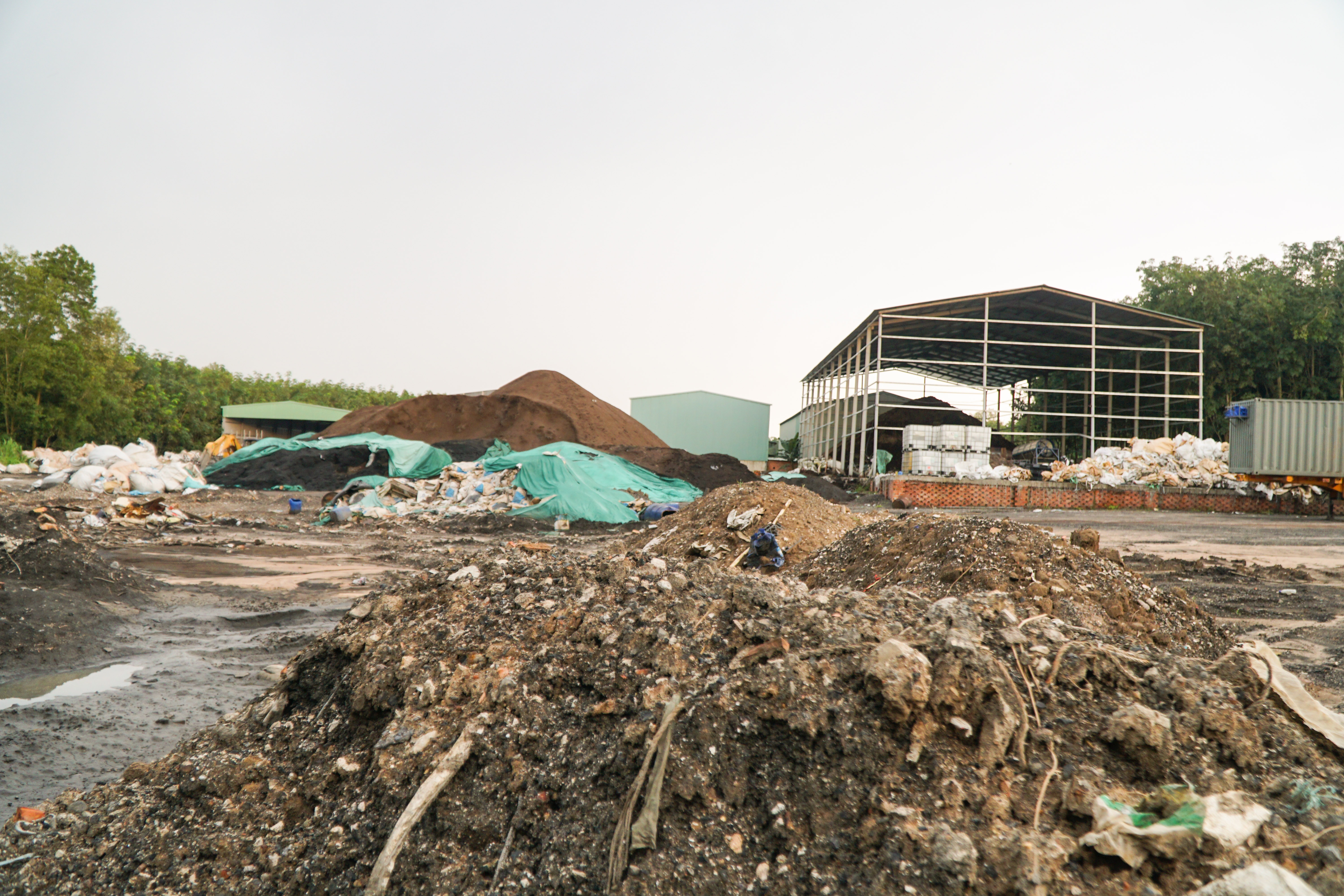 chon rac trai phep anh 9