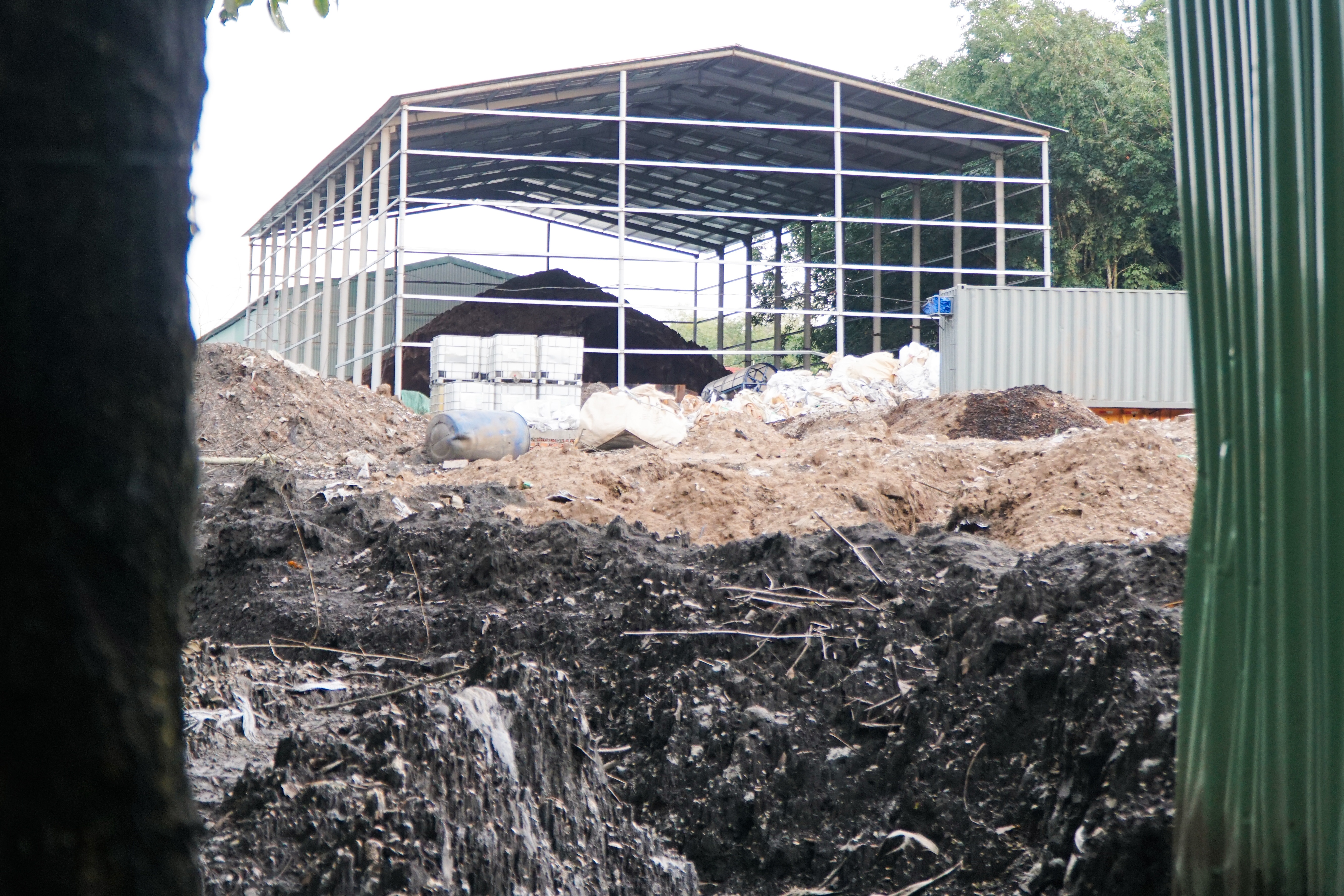 chon rac trai phep anh 1