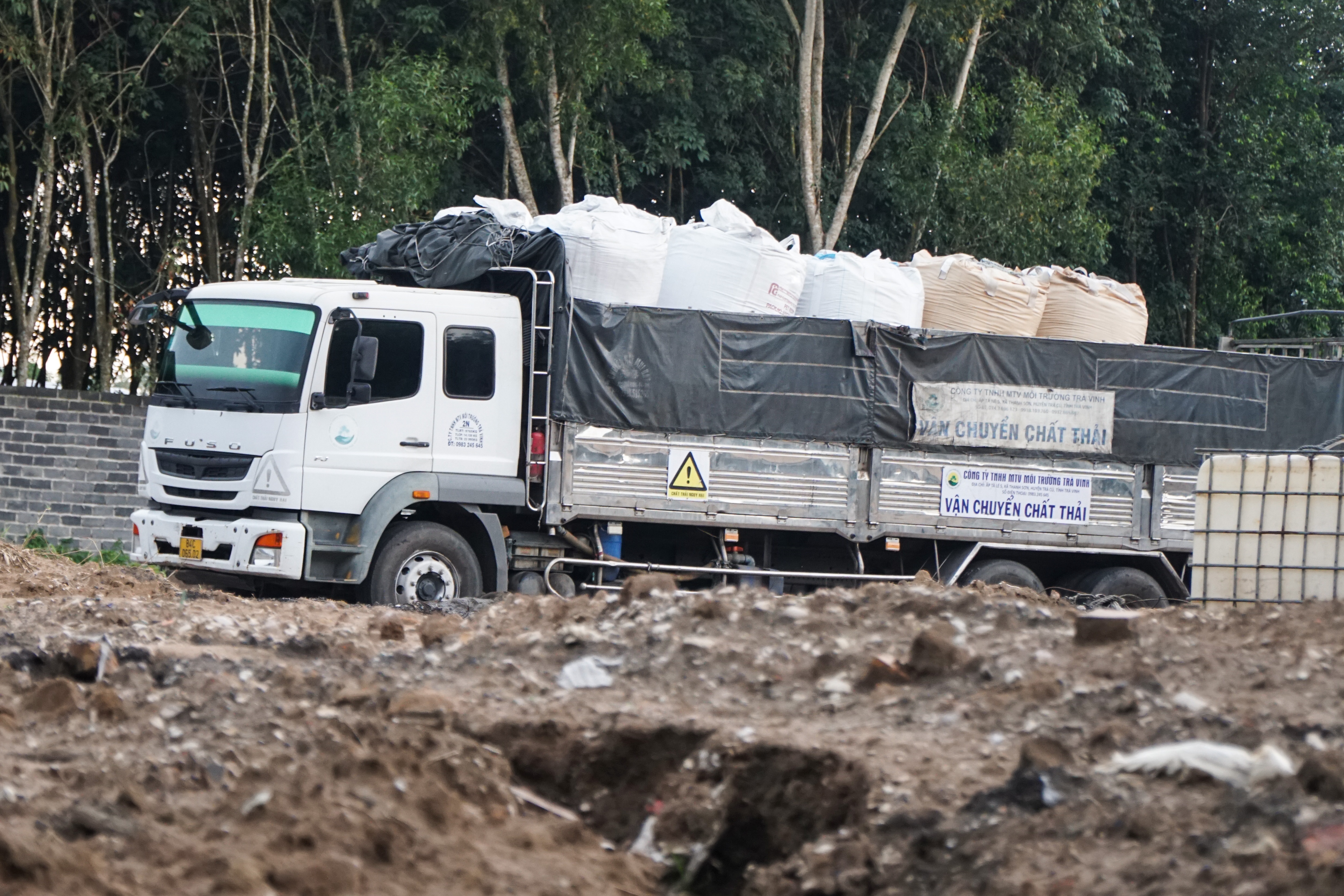 chon rac trai phep anh 3