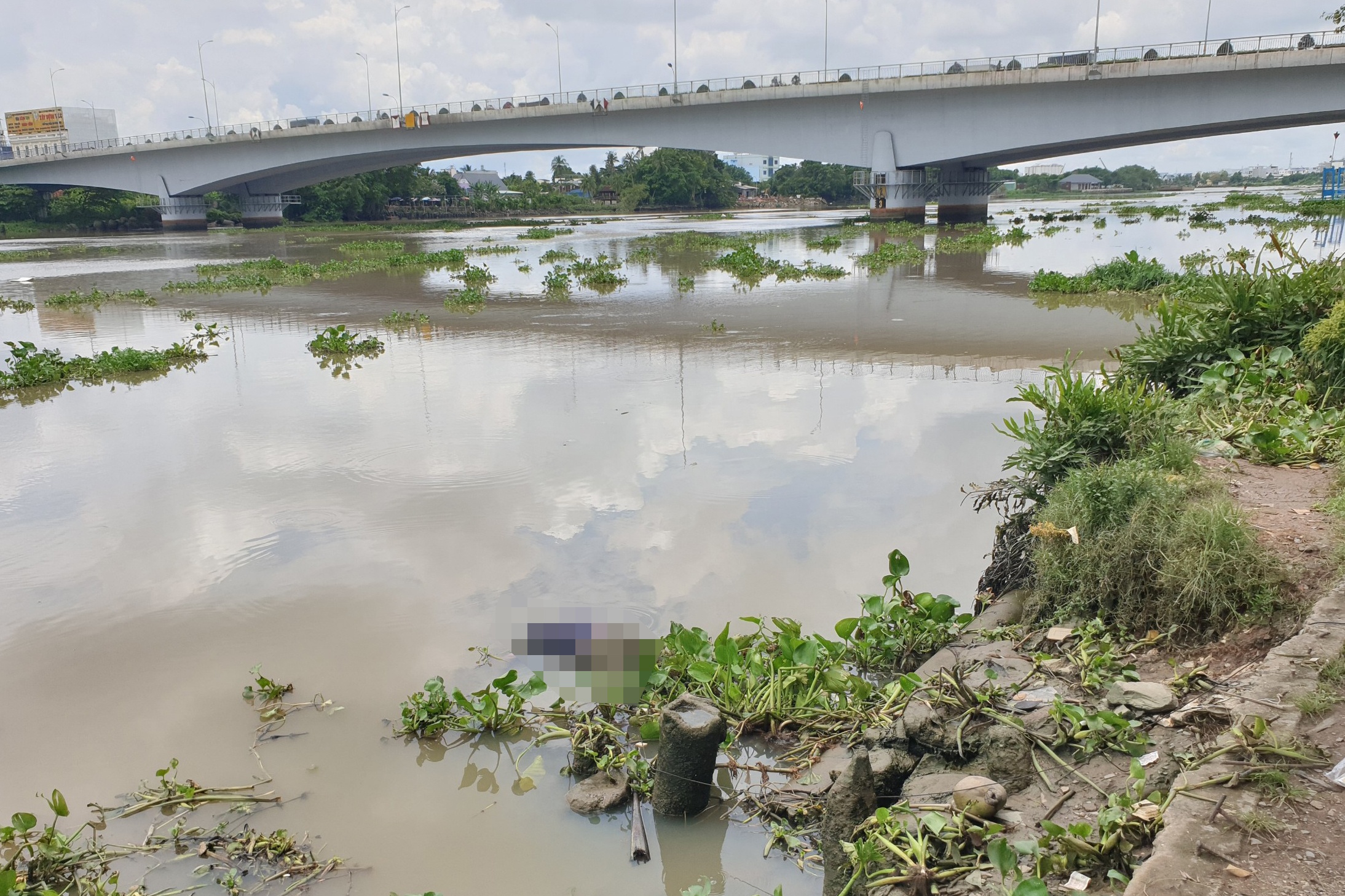 thi the tren song anh 1