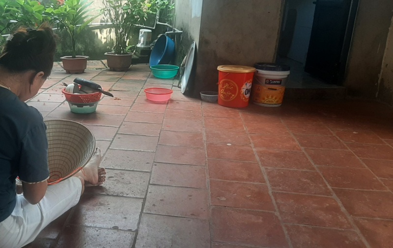 gia canh Tina Duong anh 2